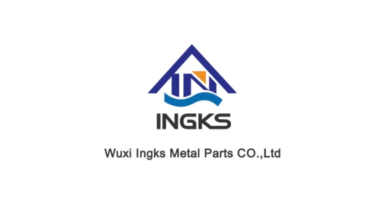 Ingks Cheese Head Security Screw Snake Eye Stainless Steel Customized Pig Nose Screw